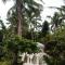 Bubble Siargao