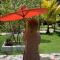 Red Coconut Villa
