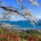 The Gran Resort Amanohashidate