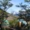 Patagonia Eco Domes