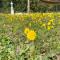 Holiday Home Ruby - Sveti Jakov Holiday Home Ruby - Sveti Jakov