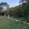 Holiday Home Ruby - Sveti Jakov Holiday Home Ruby - Sveti Jakov