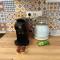A2D Bel appartement, Nancy Thermal - 南希