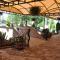 Apartman Ivana