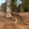 Cosy Cottage in Geraldton - "Moresby Rest" - Bluff Point