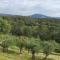 Villa Ty Laouen- villa confort avec piscine et jacuzzi- Parc -Opio-Valbonne
