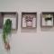 Lovely Kozi Square Studio 1 Bedroom with Pool LV7E