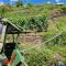 Weingut Haxel