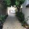 Grandmother's House