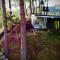 Tiny Houses Premium - Casa Barcelona