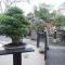 Foto: Bonsai Family Residence 25/112