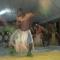 Yasawa Homestays