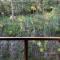 Gosfords Best Location with Views - Gosford