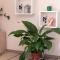 Apartman Bella Vista