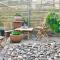 Stunning seaside cottage seconds from beach by Whitstable-Holidays, Fig Cottage