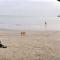 Welcoming 2 bed townhouse near town centre & beach