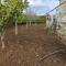 Borgo Aranci - Appartamento in Villa Rosa - 16B