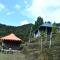 Forest Acres Camps