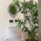 Anema & Core Home