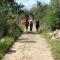Finca Sa Cova Vella
