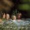 Familien- & Gartenhotel Theresia 4-Sterne Superior