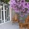 Apartments Stankovic & Boat tours