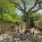 Domaine du Mas Foucray