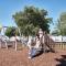 St Margarets 2-Bed Chalet - Sleeps 4 & Pets ok