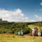 St Margarets 2-Bed Chalet - Sleeps 4 & Pets ok