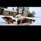 Chalet nina