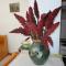 Guest House Astra