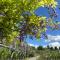 GARDA BALDO APARTMENTS_VIVALDI