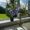 Butterfly Guesthouse - Entire Home within 5km of Galway City - Голуэй