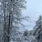 Chalet Alpin suisse