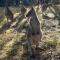 Macedon Ranges Glamping with kangaroos