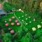 Shose Farmhouse Chalets & Campsite