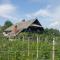 Cottage near river Kolpa, vineyards,top location.