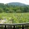 Cottage near river Kolpa, vineyards,top location.