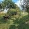 Cottage near river Kolpa, vineyards,top location.