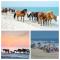 Foxes Den a Home in Ocean Pines - Ocean Pines