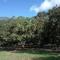 My Excel Garden Mini Glass Villa with Forest View - 温泉村