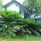 Munnar Tea Hills Resort - MTHR