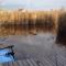 Seehütte Neusiedlersee - Pfahlbau GlamPing