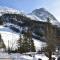 Chalet 5 pièces près de la forêt à Pralognan-la-Vanoise, idéal pour 8 personnes - FR-1-464-176