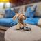 the G - RANGE - a peace of comfort - Perfect Stay
