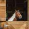 Farm Stay Modern Barndominium in Lakeland!