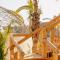 Baja Nomads Hotel - Adults 15 Plus