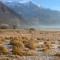 APARTMA PANORAMA