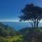 5 acres pool/spa, walk to all Big Sur has to offer - بيج سور