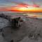 10 Deer Run Lane - Hilton Head Island
